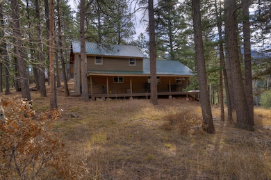 287 County Road 401, La Veta, CO 81055 - photo 2