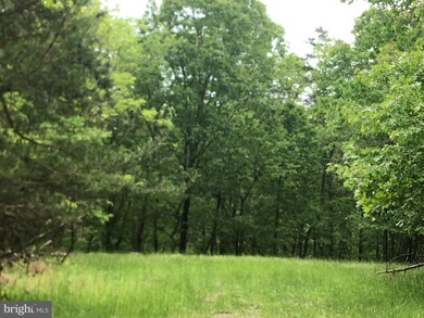 102 Chestnut Place, Cross Junction, VA 22625 - photo 3