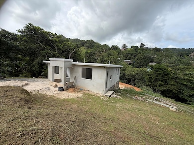 0 Bo Cañaboncito Carr 784 Km 5 2, Caguas, PR 00727 - photo 3