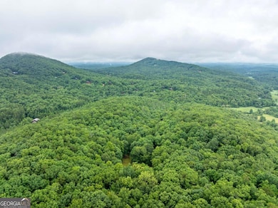 467 Gilliam Trail, Mineral Bluff, GA 30559 - photo 4