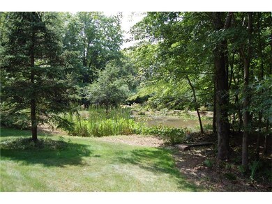 Small Pond Area
