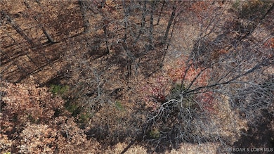 Lot 64 Dennison Dr, Osage Township, MO 65052 - photo 3