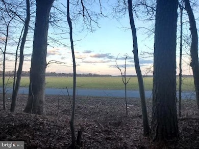 0 Gravel Branch Rd unit MDDO2001942, Hurlock, MD 21643 - photo 2