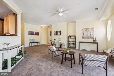 9710 Handerson Place unit 405, Manassas Park, VA 20111 - photo 6