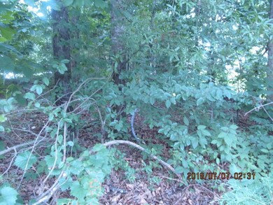 00 Ellis Cir, Chatsworth, GA 30705 - photo 6