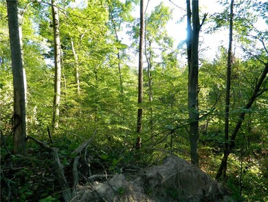 6954 E Sylvania Rd, Bloomfield, IN 47424 - photo 7