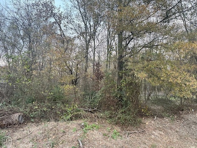 1 Main St, Alicia, AR 72410 - photo 2