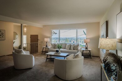 16 Granite Ct, San Carlos, CA 94070 - photo 4