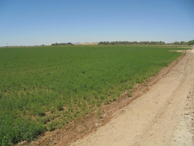 141 Water Toll Acres On 8th Ave, Blythe, CA 92225 - photo 7