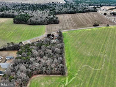 18691 Fleatown Rd, Lincoln, DE 19960 - photo 5