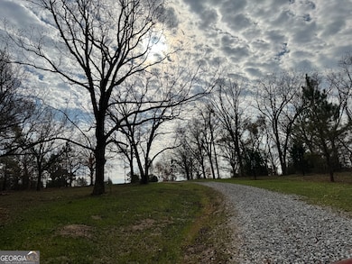 3439 TRACT 1 Providence Church Rd, Lavonia, GA 30643 - photo 3