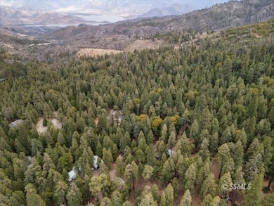 10667 Conifer Ln, Wofford Heights, CA 93285 - photo 7