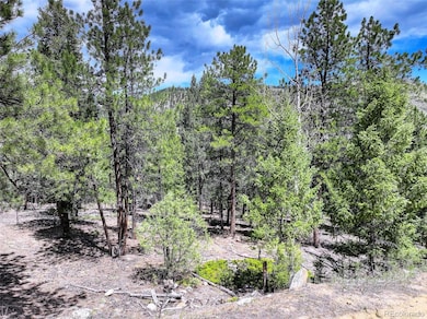 456 Lo Meadow Ln unit 13, Bailey, CO 80421 - photo 7