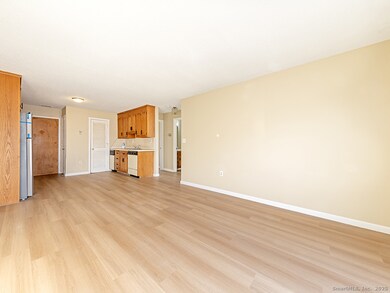 50 Long St unit 5, New Britain, CT 06051 - photo 7