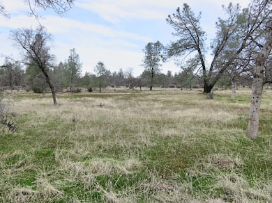 41 acres Ash Creek Rd, Anderson, CA 96007 - photo 3