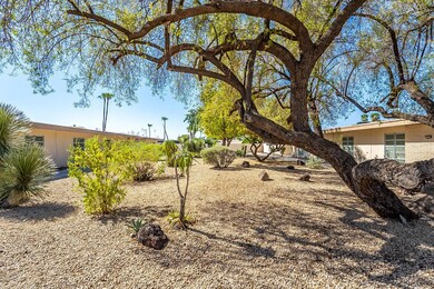 Front Yard Landscaping