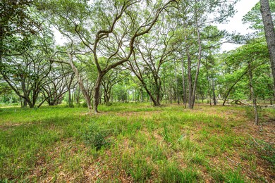 Lot 5-14
