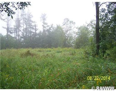 0 N 7th St, Weyerhaeuser, WI 54895 - photo 2