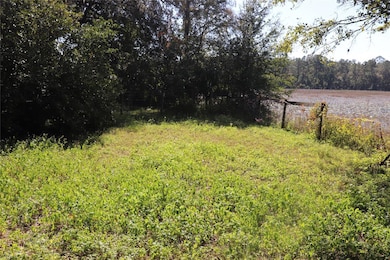 14150 NE 110th Avenue Rd, Fort Mc Coy, FL 32134 - photo 4