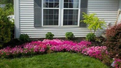 1193 flowers