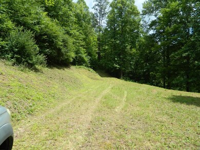 454 Newsome Branch, Virgie, KY 41572 - photo 2