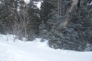 452 N 275 E unit CBME u-C lot 58, Brian Head, UT 84719 - photo 2