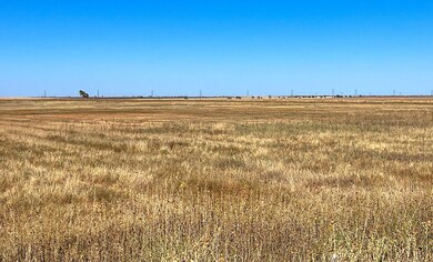 unlisted-address, Shallowater, TX 79363 - photo 4