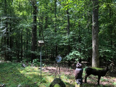 Wooded Private Lot