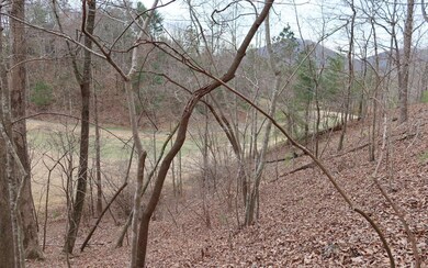 2786 Summit Dr, Ellijay, GA 30536 - photo 7