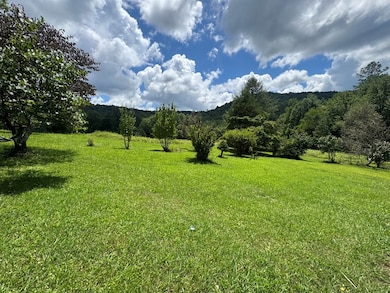 24 Doe Run, Suches, GA 30572 - photo 6