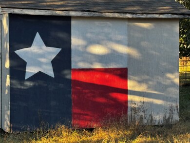 203 E Fleming Ave, Comanche, TX 76442 - photo 3