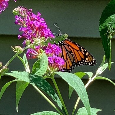 16 Astra unit 16, Wayland, MA 01778 - photo 5