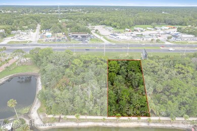 8-web-or-mls-DJI_0266_outlines
