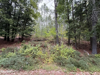 Photo Sep 19 2025, 9 04 42 AM