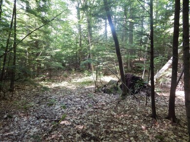 18-8 Currier Hill, Wentworth, NH 03282 - photo 2