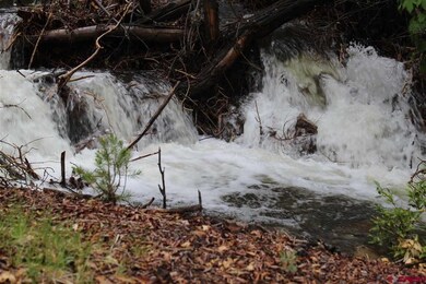 3796 Virtue Way, Crestone, CO 81131 - photo 6