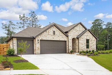 15102 Riverlea Ct, Woodloch, TX 77302 - photo 2