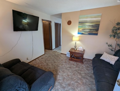 3500 Ridgewood Dr, Hutchinson, KS 67502 - photo 4