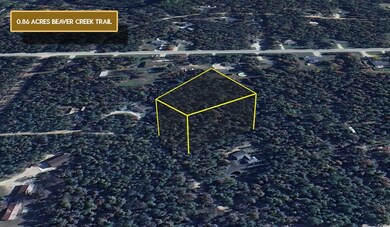 0 Beaver Creek Trail unit 25734139, South Branch Township, MI 48653 - photo 3