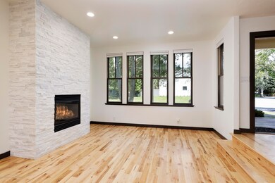 Living Room Fireplace