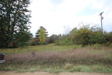 Parcel 1 16th St, Dorr, MI 49323 - photo 2