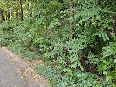 00 General Griffith Cir unit 31, Rutherfordton, NC 28139 - photo 4