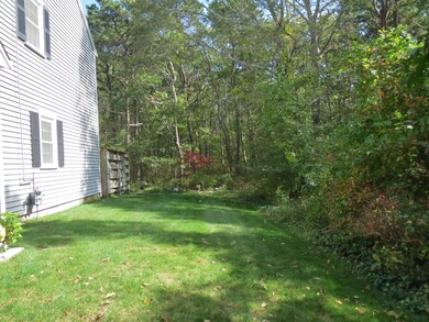 side yard bordering woods