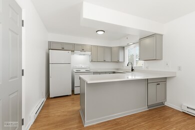 105 W Somonauk St, Yorkville, IL 60560 - photo 4