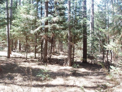 79879 Hinz Rd, Glidden, WI 54527 - photo 6