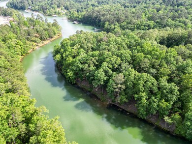 LOT 8 Shoreside at Sipsey, Double Springs, AL 35553 - photo 4