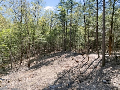 0 Old Ledge Rd unit 4950217, Westminster, VT 05346 - photo 6