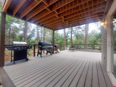 318 Whispering Pines Dr, Durango, CO 81301 - photo 6