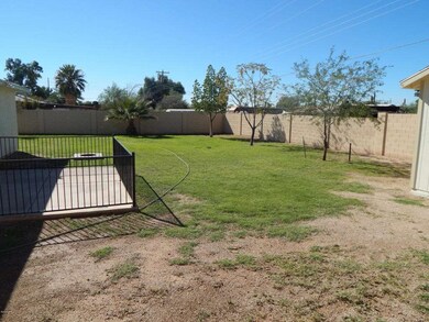 Back Yard 1