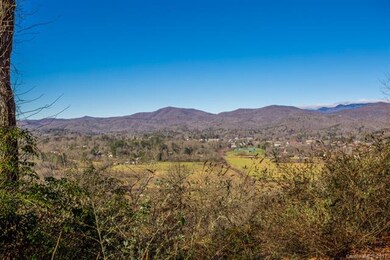 Views or Downtown Brevard